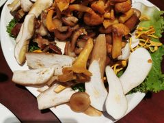 -野菌皇海景野生菌火锅(滨海大道店)