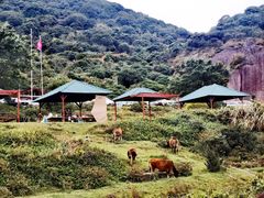-大姆山草场