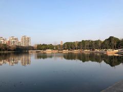 -新江湾城公园