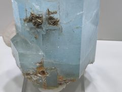 -天津梅江会展中心