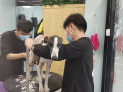 -中农大我爱我爱动物医院·核磁CT·猫病·24小时夜诊中心(石佛营店)