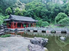 -深圳国际园林花卉博览园