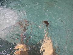 -龙佳生态温泉山庄