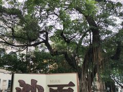 -广州白天鹅宾馆