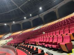 -灵玲国际马戏城