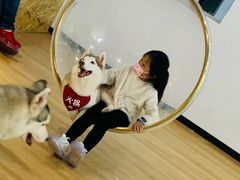 -Husky Go! 哈士奇体验馆·宠物咖啡厅狗咖