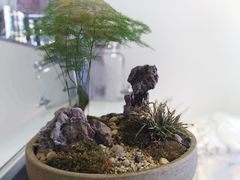 -环悦艺术空间(东山口店)