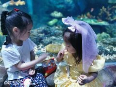 -华夏文旅海洋公园