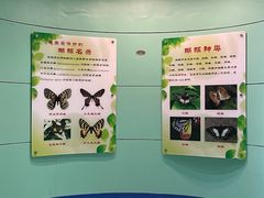 -上海昆虫博物馆