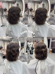 -天使之手plus