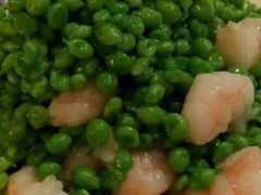 -西郊5号·Maggie 5