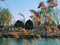 -石家庄市植物园