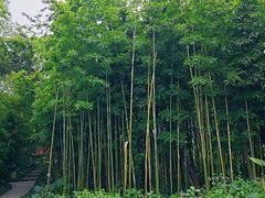 -福建鲤鱼洲酒店