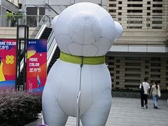 -中海环宇荟