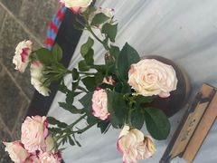 -四方小吃·白族庭院餐厅