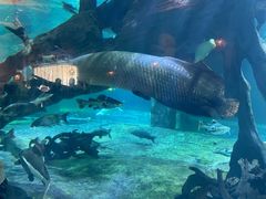 -华夏文旅海洋公园