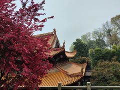 -岳麓山风景名胜区