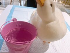 -RU DUCK柯尔鸭公社·撸鸭俱乐部·羊驼·小香猪