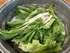 -侠成水上农庄(工业大道店)