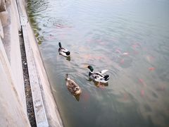 -迎泽公园