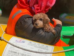 -将军关探险漂流