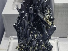 -湖南省地质博物馆