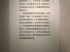 -青海藏文化博物院