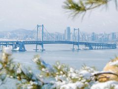 -星海湾跨海大桥