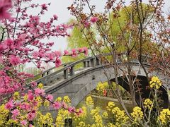 -南汇桃花村