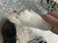 -宠物家(长阳店)