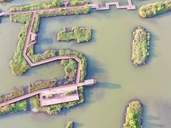 -芒洲湿地公园