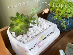 -胡桃里音乐酒馆(罗湖HALO广场店)