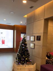 -苏亚医美·高端注射明星整形机构