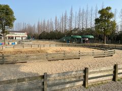 -前小桔亲子创意农场·草莓采摘·露营烧烤