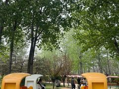 -燕郊植物园