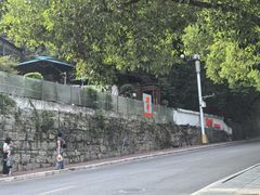 -树厨贵州菜(铜仁花果山店)