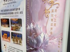 -中央芭蕾舞团·中芭艺蕾(酒仙桥明星校区)
