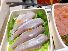 扒皮鱼-海底捞火锅(奥体南路店)