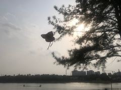 -美兰湖景区