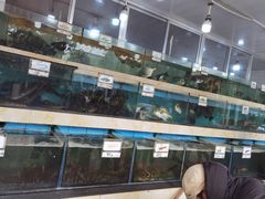 -秋姐美食店(旅游大道店)