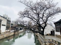 -青果巷历史文化街区