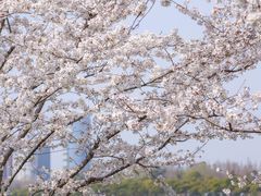 -南京城墙景区