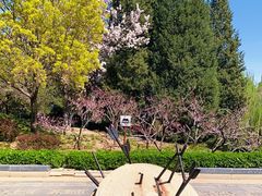 -元大都城垣遗址公园