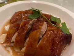 -金河半岛园林酒家(金融城店)