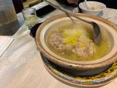 -丁老爷子苏香圆