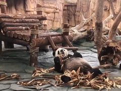 -泉州海丝野生动物世界