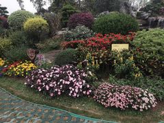 -东莞植物园