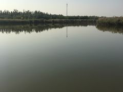 景点-西青郊野公园