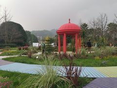 -南山植物园