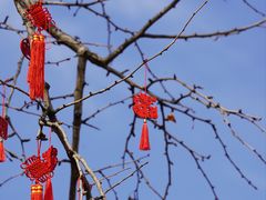 -钱王祠